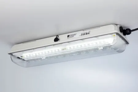 Luminaires Linear Luminaire with LED EXLUX Series 6002/4 1 download